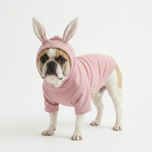 Small dog knitted sweater rabbit ears costume - Petvast