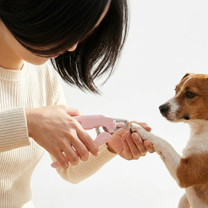 Pet Nail Clipper - 2-in-1 LED Light Grinder - Green / Pink / White - Petvast