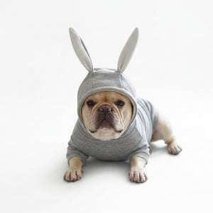 Small dog knitted sweater rabbit ears costume - Petvast