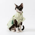 Cat Dress - Chinese Style Panda Woven Fabric - National Style Tassel - XS to XL