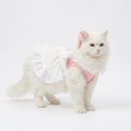 Cat Dress - Maid Style Lace - Blue / Pink - XS to XXL