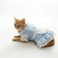 Cat Dress - Polyester Leisure Princess - Black / Blue - XS to XXL